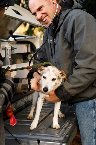 Dr. Keelan Rogers checking a dog