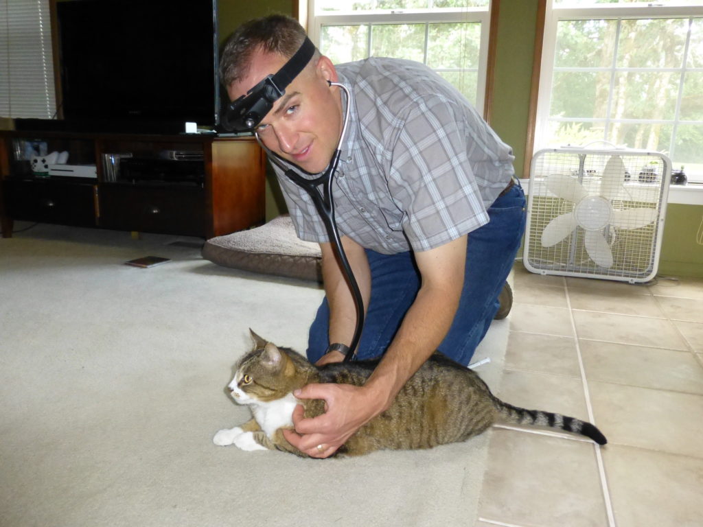 Dr. Keelan Rogers examining a cat